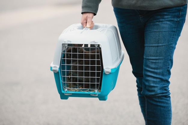 Coniglio in una scatola di trasporto animale domestico rinchiuso in una gabbia che si occupa di vacanze per animali domestici o di un appuntamento con un veterinario