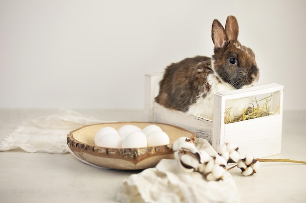 Coniglio pasquale in un cestino con uova bianche vicino al concetto di vacanza per il brunch di cotone