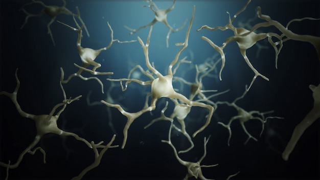 Connessioni di cellule neuronali