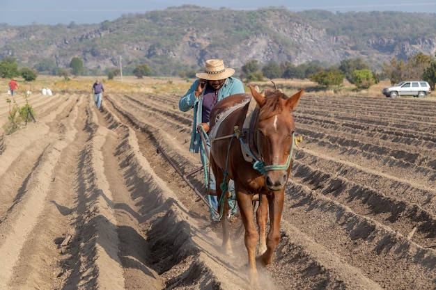 Connessioni rurali Agricoltore multitasking che ara il campo e fa una chiamata con il suo smartphone