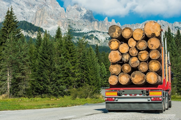 Consegna di legname in camion