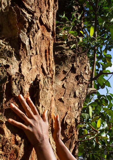 Consegna una grande struttura ad albero in una giornata di sole