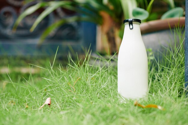 Consegnata una bottiglia di vetro piena di latte fresco o yogurt sul prato verde davanti alla casa del cliente