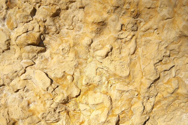 Consistenza del muro calcareo Modello astratto con sfumature gialle Sfondo naturale del muro di pietra