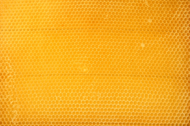 Consistenza del nido d'ape. Sfondo miele giallo brillante. Cellule di miele.