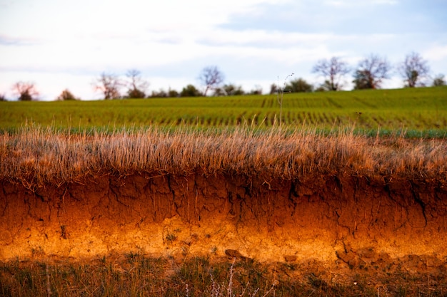 Consistenza del terreno agricolo marrone. Priorità bassa di struttura del suolo.