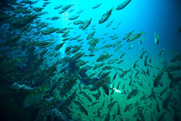 consistenza dell'acqua marina, sfondo sottomarino