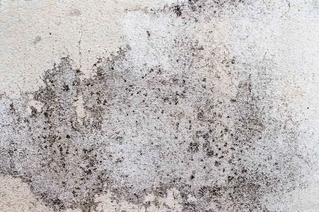 consistenza della parete di cemento bianco
