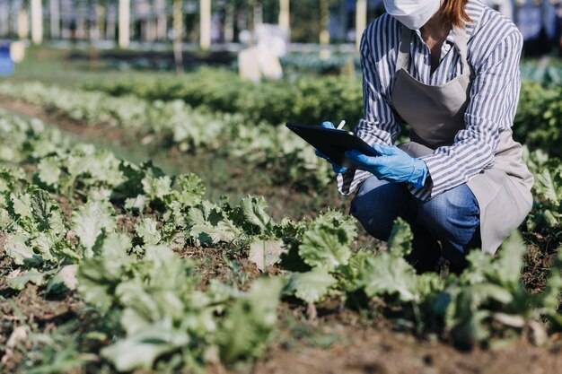 Contadina che lavora presto in un'azienda agricola che tiene un cesto di legno di verdure fresche e tabletx9