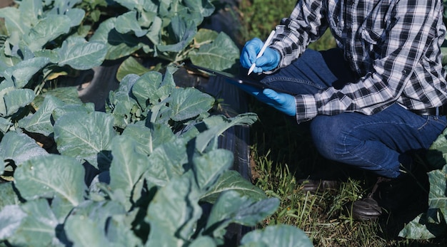 Contadina che lavora presto in un'azienda agricola che tiene un cesto di legno di verdure fresche e tabletx9