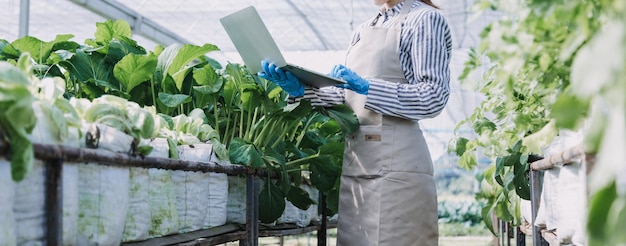 Contadina che lavora presto in un'azienda agricola che tiene un cesto di legno di verdure fresche e tabletx9