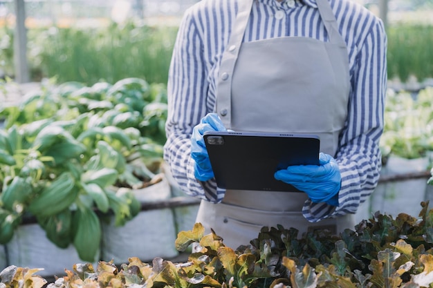 Contadina che lavora presto nella fattoria che tiene cesto di legno di verdure fresche e tablet