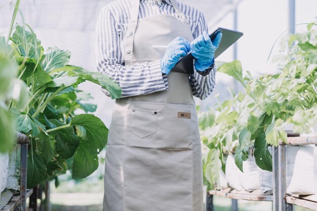 Contadina che lavora presto nella fattoria che tiene cesto di legno di verdure fresche e tablet