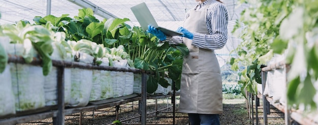 Contadina che lavora presto nella fattoria che tiene cesto di legno di verdure fresche e tablet