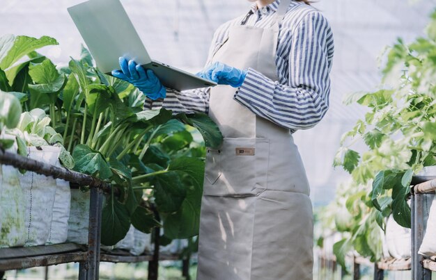 Contadina che lavora presto nella fattoria che tiene cesto di legno di verdure fresche e tablet