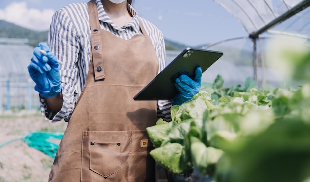 Contadina che lavora presto nella fattoria che tiene cesto di legno di verdure fresche e tablet