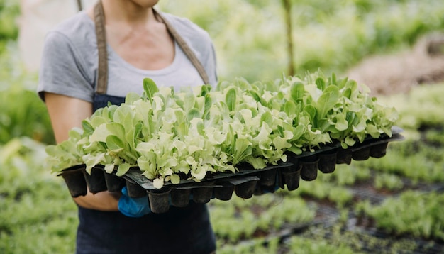 Contadina che lavora presto nella fattoria che tiene cesto di legno di verdure fresche e tablet