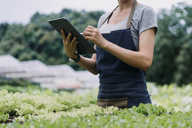 Contadina che lavora presto nella fattoria che tiene cesto di legno di verdure fresche e tablet