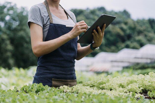 Contadina che lavora presto nella fattoria che tiene cesto di legno di verdure fresche e tablet