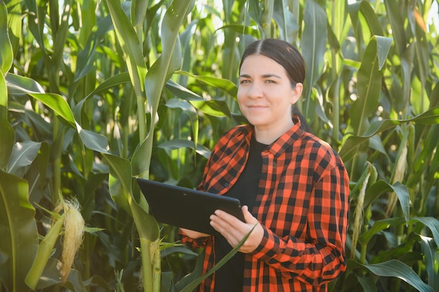 Contadina in un campo di pannocchie di mais