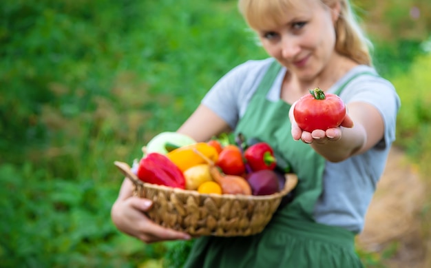 Contadina nell'orto con un raccolto di verdure. Messa a fuoco selettiva. Cibo.