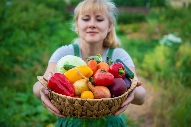 Contadina nell'orto con un raccolto di verdure. Messa a fuoco selettiva. Cibo.