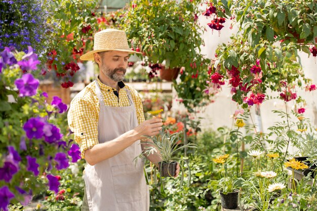 Contadino barbuto in cappello e grembiule che tiene vaso con fiori da giardino mentre si trovava tra le aiuole durante la giornata lavorativa