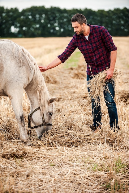 Contadino con il suo cavallo. Vista laterale del giovane agricoltore che tiene una bottiglia di fieno e tocca il cavallo mentre sta in piedi nel campo