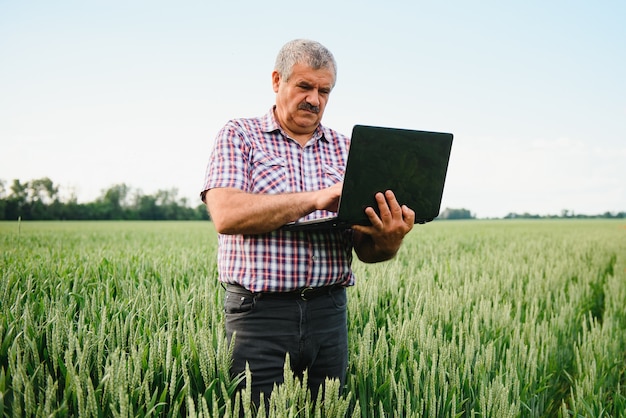 Contadino con laptop Ispezione del grano sul campo