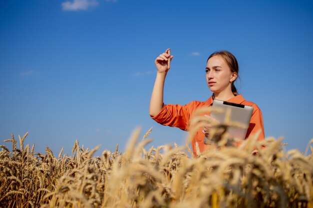 Contadino con tablet e provetta ricerca pianta nel campo di grano