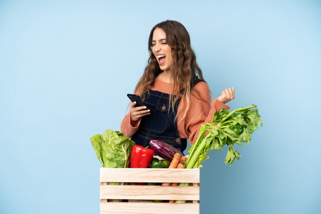 Contadino con verdure appena raccolte in una scatola con il telefono in posizione di vittoria