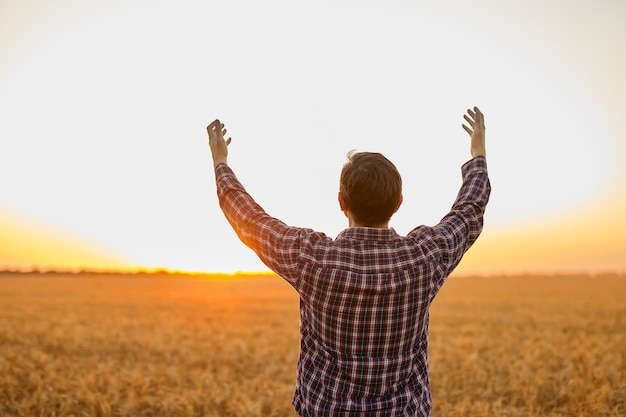 Contadino, giovane agricoltore bello in piedi nel campo di grano guardando avanti al tramonto, alzò le mani verso il sole