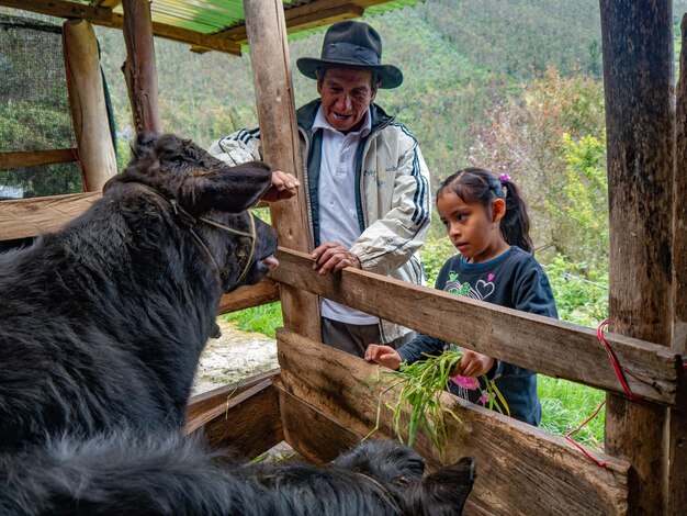 Contadino in azienda agricola biologica nelle montagne di Cusco