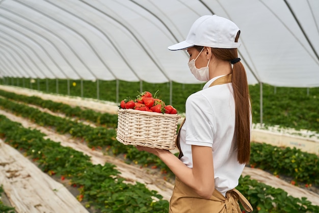 Contadino in maschera medica che tiene cesto con fragole