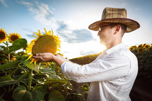 Contadino in un cappello di paglia con gli occhiali che ispeziona il campo di girasoli. Concetto di produzione agricola