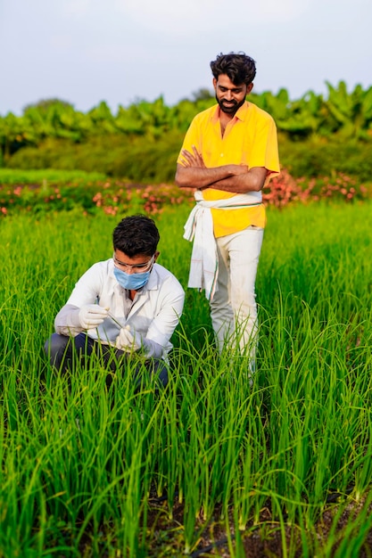 Contadino indiano con agronomo