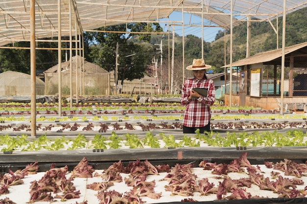 Contadino intelligente e concetto di prodotti vegetali; Giardiniere femminile che controlla di recente le piante in azienda agricola con la compressa e che utilizza applicazione per il supporto dell'azienda agricola astuta