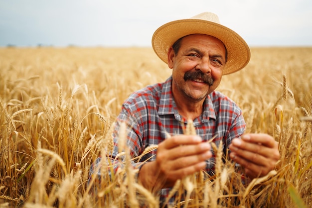 Contadino nel cappello in un campo di grano che controlla il raccolto Agricoltura giardinaggio o concetto di ecologia