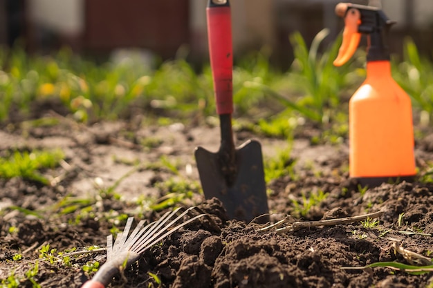 Contadino nell'orto, attrezzi da giardinaggio