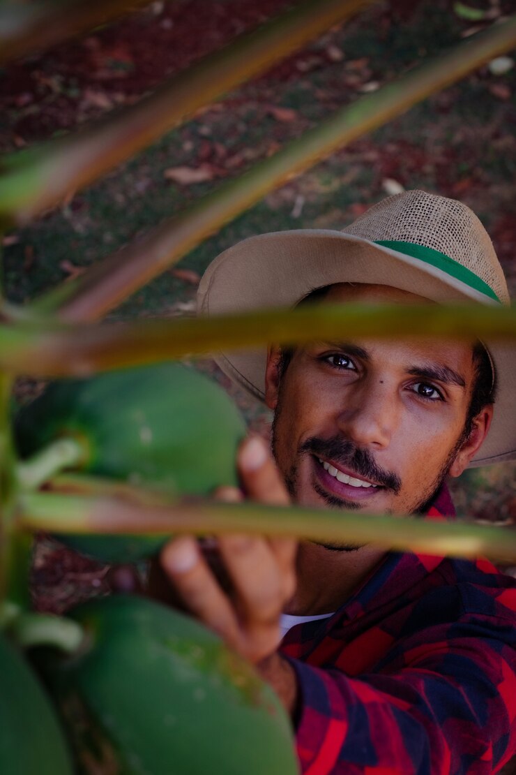 Foto contadino operaio che analizza il frutto della papaia, sorride e cerca la macchina fotografica. la piantagione di papaya ha modernizzato l'agricoltura all'interno del brasile.
