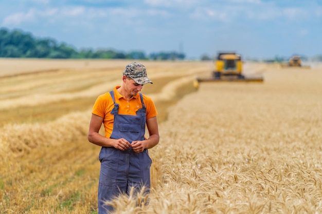 Contadino positivo in uniforme arancione e cappuccio in piedi davanti alla mietitrice gialla Uomo adulto in un grande campo di grano con cielo blu