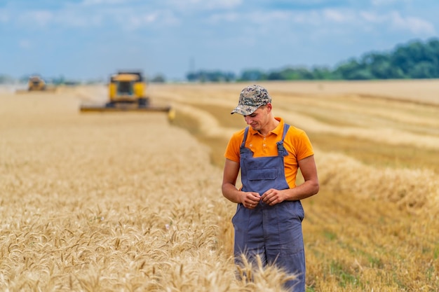 Contadino positivo in uniforme arancione e cappuccio in piedi davanti alla mietitrice gialla. Uomo adulto nel grande campo di grano con cielo blu.