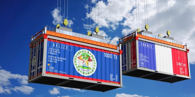 Container marittimi con bandiere del Belize e della Francia illustrazione 3D