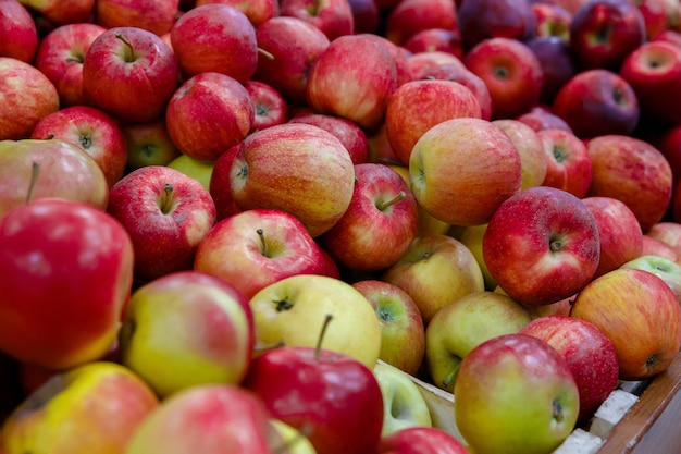 Contatore o vetrina con frutta mele rosse in negozio