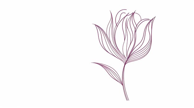 Contorno di fiore di tulipano convertibile in SVG