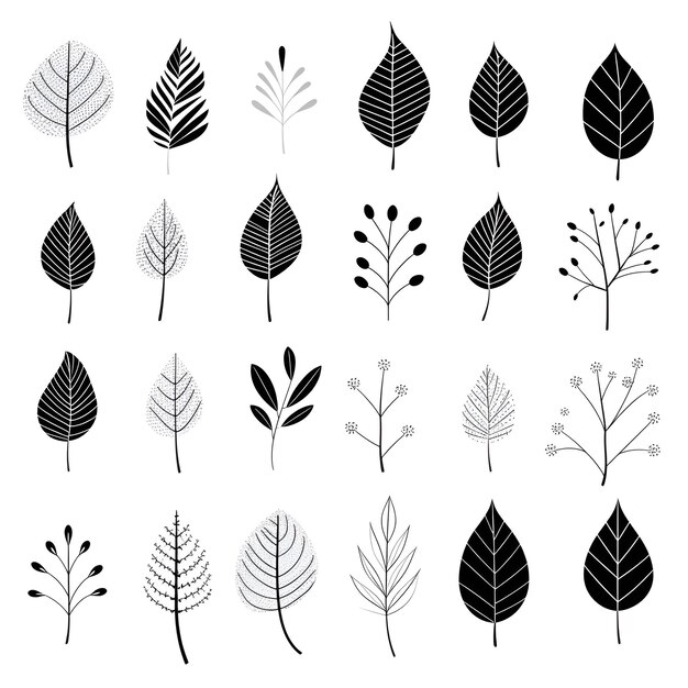 Contrasti affascinanti che illustrano il fascino delle botaniche in bianco e nero