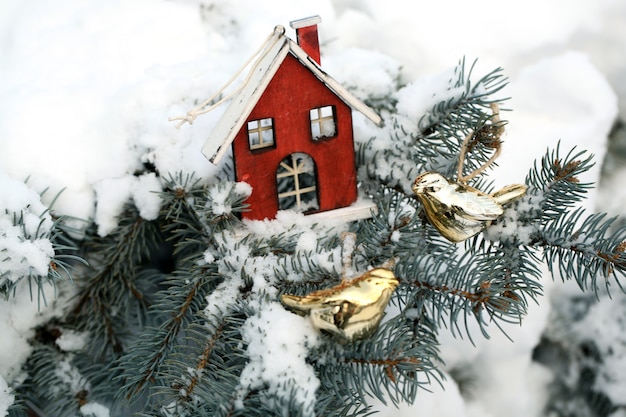 Coperto di neve e decorazione natalizia ramo di abete, all'aperto