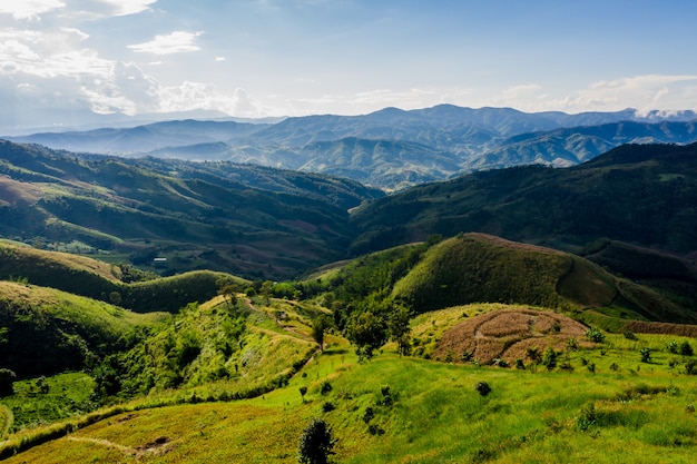 Coperture della montagna di vista dell&#39;angolo alto e modo di strada