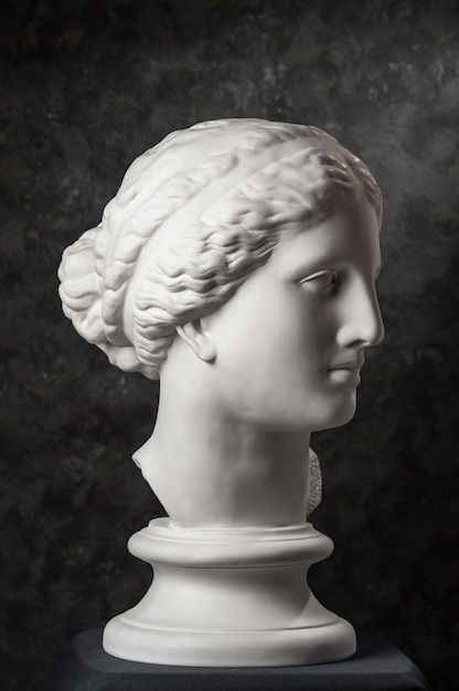 Copia in gesso bianco dell'antica statua della testa di Venere di Milo per artisti su uno sfondo scuro con texture. Scultura in gesso di volto di donna.