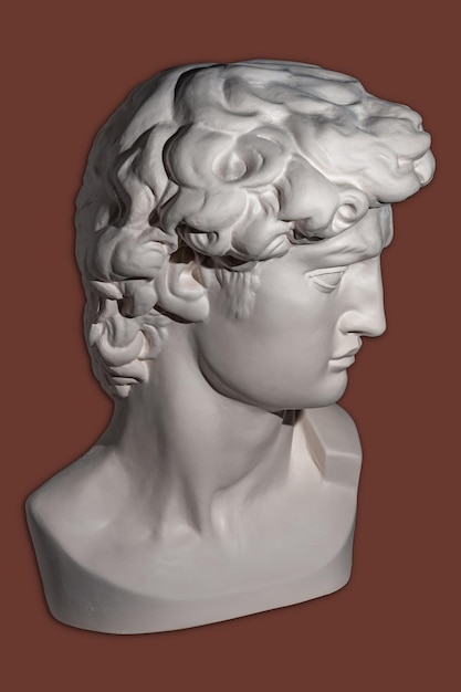 Copia in gesso della statua della testa di davide per artisti copia del viso famosa scultura su cui la gioventù di davide si è concentrata